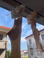 合租的小骚货老师。好像干死他2