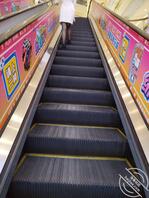 (原创十二 )面对现实,该回去上班了0