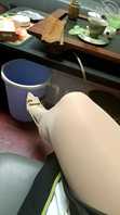 母狗姐姐0
