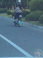 庆云西环  街拍  有认识的吗1