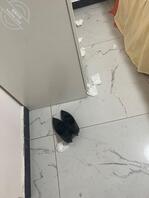 买了了支架,不会用2