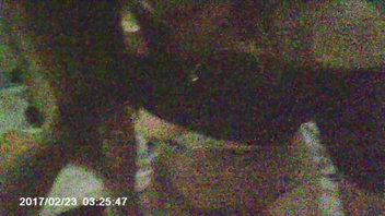 &ldquo;你不能这样，放开我&rdquo;（完整版全集下面简阶免费看）