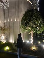 想攻略嫂子,有没有戏1