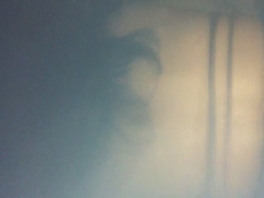 雨中野战~别有滋味