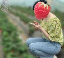 【真实原创】153、草莓飘香,入口绵软甘甜,犹如女人在身下娇态百出任君采2