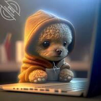 寻贵阳、六盘水的阿姨，姐姐，妹妹，0