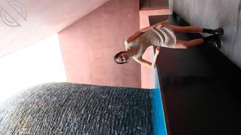 分享一米八长腿健身翘臀未婚妻0