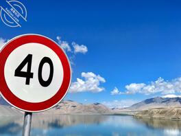 找母狗，南阳新野