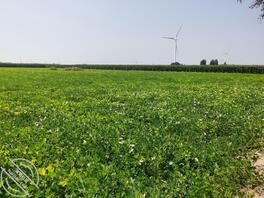 跟弟弟回老家过生日了，有了进一步进展1