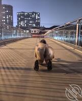 如狼似虎人妻大胆漏出0