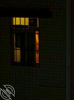 更新，今天拍的1