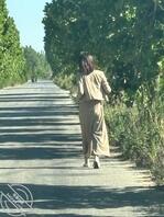 平度以及平度周边0