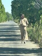 平度以及平度周边2