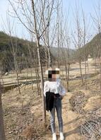 56 兄弟们,我回来了,和发小出去干了个短期工程刚回来!带妹妹出来野餐!0