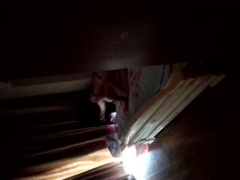 你们是有多忍不住？(手势认证)