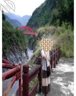 把你们骚逼老妈的照片也跟到下面1