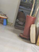 绿母献母日常偷拍岳母把你们的妈妈贡献出来2