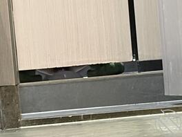 有没有大神教教我，怎么假装靠近然后偷拍1