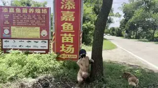 第二期 全裸帮农民大叔种田，两人全裸和大叔打篮球，全裸帮大叔挑海鲜