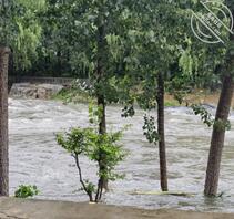 【真实原创】122、暴雨如注,城市内涝严重,婶婶艰难前行0