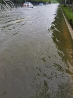 【真实原创】122、暴雨如注,城市内涝严重,婶婶艰难前行1