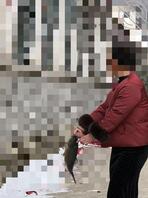 【丰腴丈母娘】22