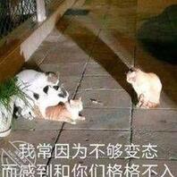 找女人1
