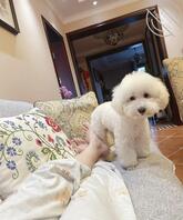 女友大学时做过别人小三0