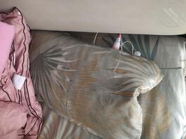 妈妈枕头下的宝贝0