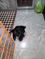 新年快乐海友们0