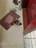 扫楼铆钉高跟鞋1