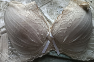 亲姐是我的性启蒙老师,姐姐胸罩裤衩是我的性玩具2