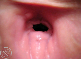 发骚嫂子，水汪汪的逼，逼洞粉嫩0