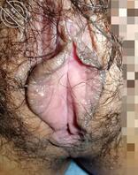 爱小姑,爱妈妈,爱大姑(5)2