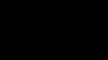 好久没来了，刷拨存在感