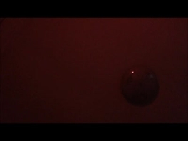 山东东营爆操东北小骚货