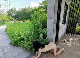 人妻少妇户外极限露出挑战2