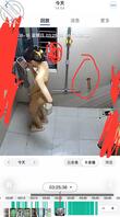 普通贴,终于套到了女儿的鲍鱼图了。1