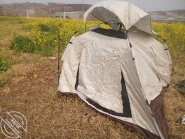 【骚姐姐原创】春“日”露出，花地采“精”1