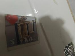 邯郸附近换妻，费用AA1