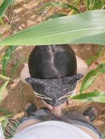 68 (原创)大中午带妹妹去玉米地野战寻求刺激!!!1