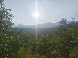 焦作武陟单男寻py1