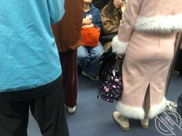 分享-一对大屁股，想怎么玩0