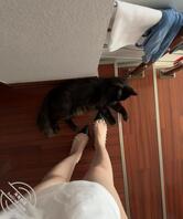 愿绿.记录绿妻全过程(1)1