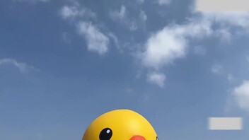 小黄鸭不许掉下来哦（非原创）