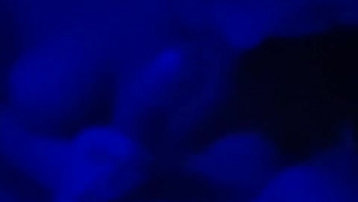 女友主动要求拍视频并说&rdquo;太长了含不住&rdquo;