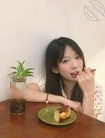 日常更新还是随心更新？0