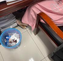 夏天了人妻女同事又穿了攻速鞋勾引我，她很爱这双每年都会穿1