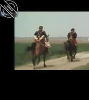 没有想干的事，但有想干的人0