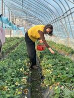 亲舅妈，想看她穿上女仆JK 服侍室友们，谁会操作吗1